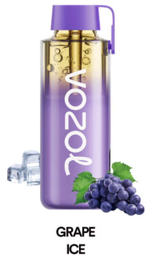 Vozol Neon Pro 12000 Grape ice